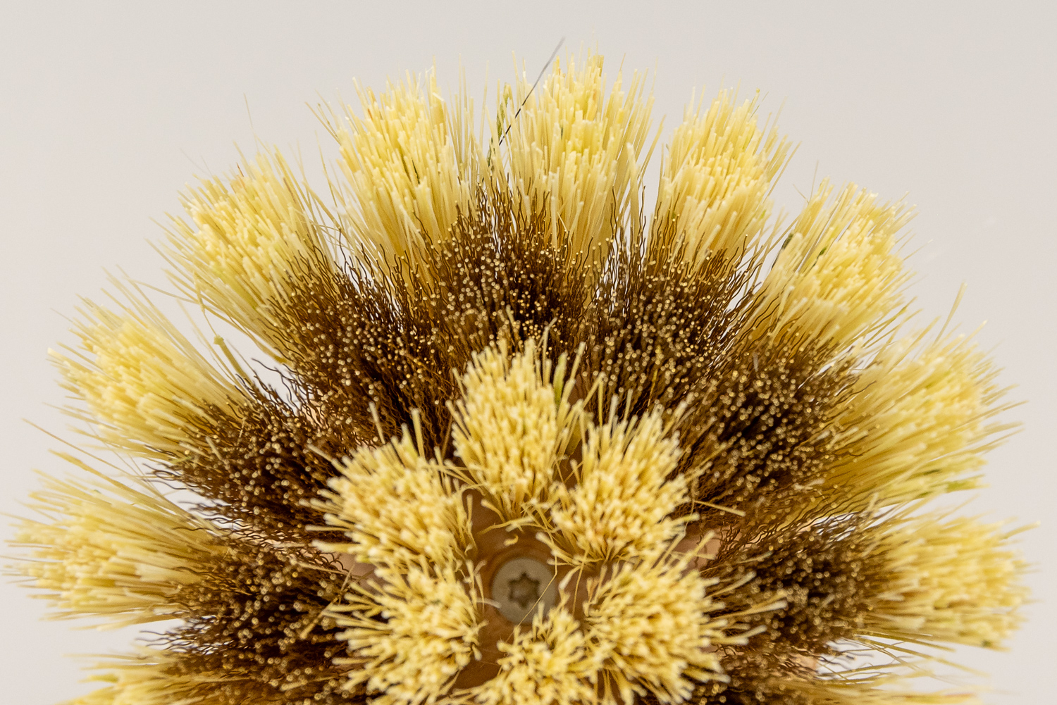 Topfbürste groß Mix